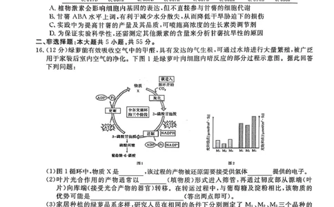 生物试卷-2026届安徽省&ldquo;皖南八校&rdquo;高三第二次大联考_2025年12月_2512192026届安徽省&ldquo;皖南八校&rdquo;高三第二次大联考（全科）_2026届安徽省&ldquo;皖南八校&rdquo;高三第二次大联考生物