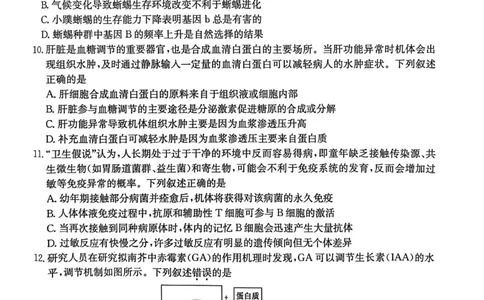 高三生物试卷_251111青海省西宁市大通县2026届高三上学期期中考试（全科）_青海省西宁市大通县2025-2026学年高三上学期期中考试生物试卷（含答案）