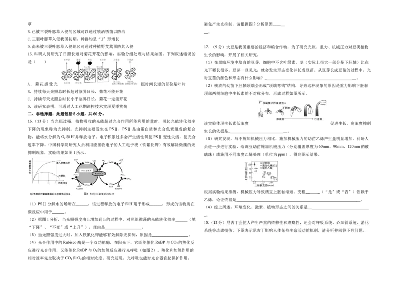 福建省莆田第六中学2024届高三上学期1月质检模拟测试生物_2024届福建省莆田第六中学高三上学期1月质检模拟测试