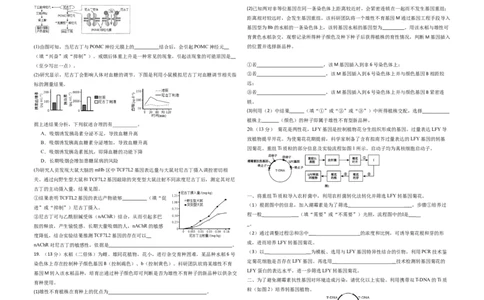 福建省莆田第六中学2024届高三上学期1月质检模拟测试生物_2024届福建省莆田第六中学高三上学期1月质检模拟测试