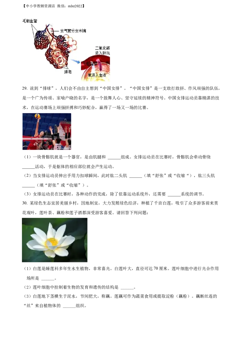 精品解析：2022年湖南省郴州市中考生物真题（原卷版）_中考真题_8.生物中考真题2015-2024年_2022年全国中考生物114份14