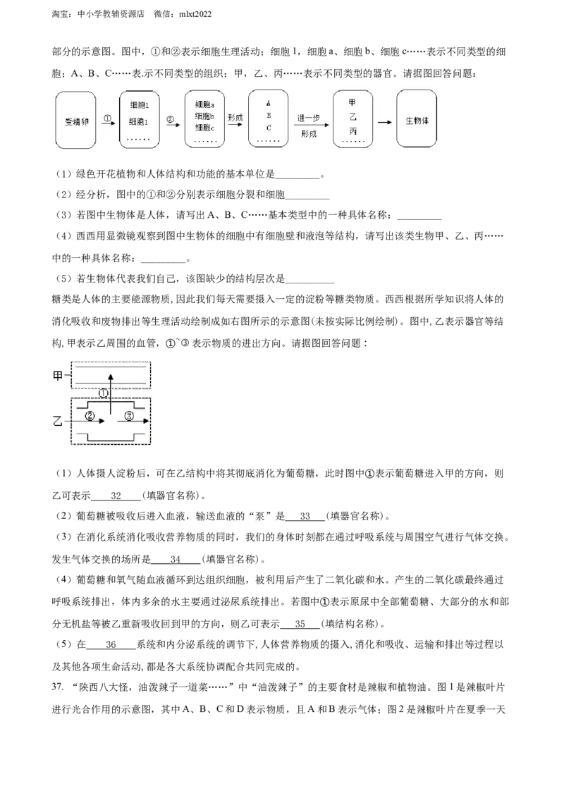 精品解析：2022年陕西省中考生物真题（B卷）（原卷版）_中考真题_8.生物中考真题2015-2024年_2022年全国中考生物114份14
