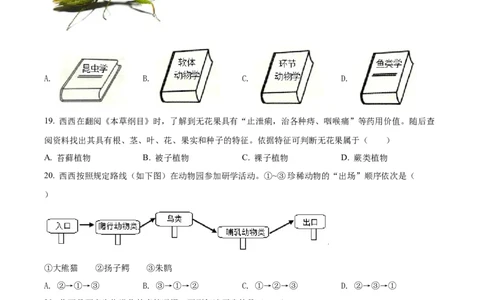 精品解析：2022年陕西省中考生物真题（B卷）（原卷版）_中考真题_8.生物中考真题2015-2024年_2022年全国中考生物114份14