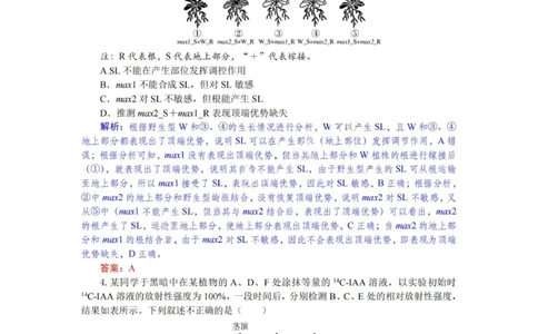 生物试题卷解析与答案_2025年6月_250629湖北省八校联考2024-2025学年高二下学期6月期末（全科）_湖北省八校联考2024-2025学年高二下学期6月期末联考生物