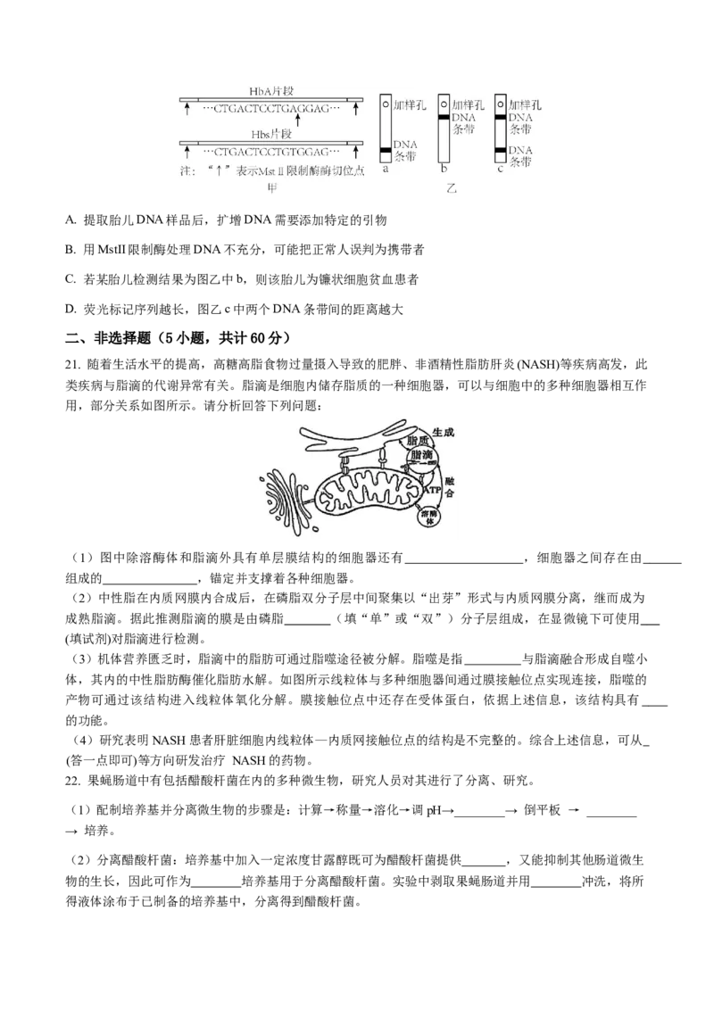 福建省福州市福九联盟2024-2025学年高二下学期期末联考生物试卷（含答案）_2025年7月_250730福建省福州市福九联盟2024-2025学年高二下学期7月期末考试_0823204624