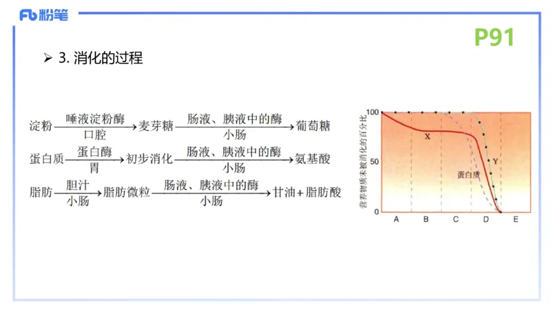 理论精讲12-动物学与动物生理学-拾光_4-教培资料-26年最新资料-同步更新_初中高中教资_03科三专项（进去保存报考的学科即可）_初中_初中生物-通关资料包_2025年FB学科-生物_讲义