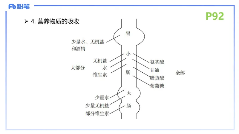 理论精讲12-动物学与动物生理学-拾光_4-教培资料-26年最新资料-同步更新_初中高中教资_03科三专项（进去保存报考的学科即可）_初中_初中生物-通关资料包_2025年FB学科-生物_讲义