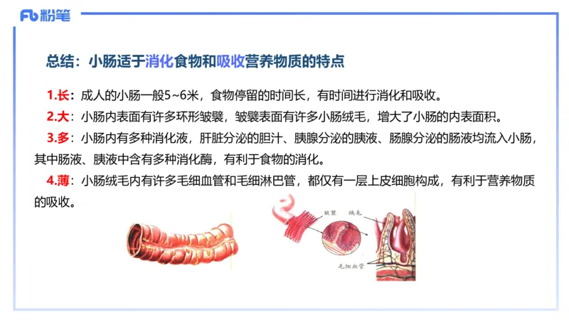 理论精讲12-动物学与动物生理学-拾光_4-教培资料-26年最新资料-同步更新_初中高中教资_03科三专项（进去保存报考的学科即可）_初中_初中生物-通关资料包_2025年FB学科-生物_讲义