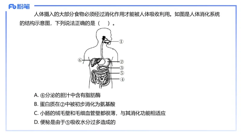 理论精讲12-动物学与动物生理学-拾光_4-教培资料-26年最新资料-同步更新_初中高中教资_03科三专项（进去保存报考的学科即可）_初中_初中生物-通关资料包_2025年FB学科-生物_讲义
