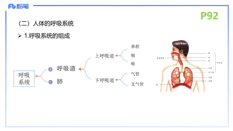 理论精讲12-动物学与动物生理学-拾光_4-教培资料-26年最新资料-同步更新_初中高中教资_03科三专项（进去保存报考的学科即可）_初中_初中生物-通关资料包_2025年FB学科-生物_讲义