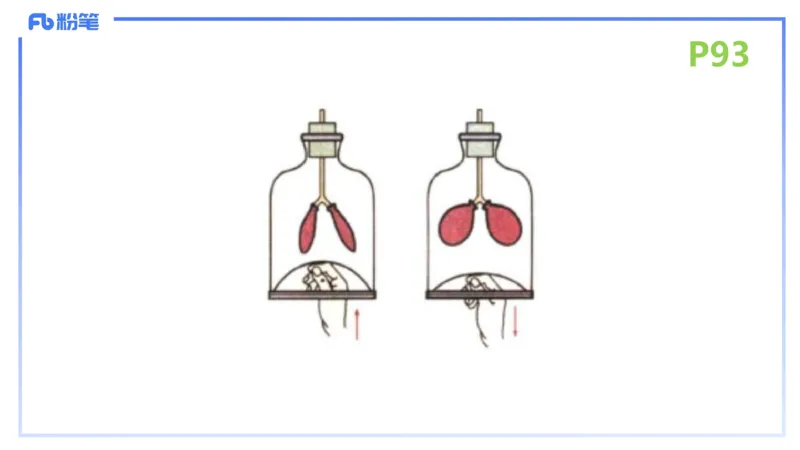 理论精讲12-动物学与动物生理学-拾光_4-教培资料-26年最新资料-同步更新_初中高中教资_03科三专项（进去保存报考的学科即可）_初中_初中生物-通关资料包_2025年FB学科-生物_讲义