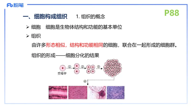 理论精讲12-动物学与动物生理学-拾光_4-教培资料-26年最新资料-同步更新_初中高中教资_03科三专项（进去保存报考的学科即可）_初中_初中生物-通关资料包_2025年FB学科-生物_讲义