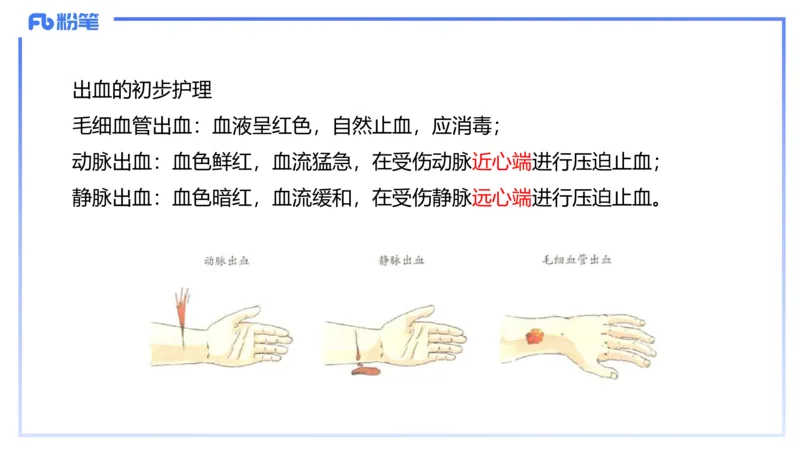 理论精讲12-动物学与动物生理学-拾光_4-教培资料-26年最新资料-同步更新_初中高中教资_03科三专项（进去保存报考的学科即可）_初中_初中生物-通关资料包_2025年FB学科-生物_讲义