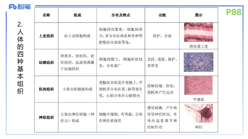 理论精讲12-动物学与动物生理学-拾光_4-教培资料-26年最新资料-同步更新_初中高中教资_03科三专项（进去保存报考的学科即可）_初中_初中生物-通关资料包_2025年FB学科-生物_讲义
