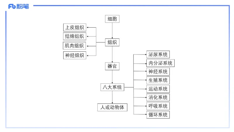 理论精讲12-动物学与动物生理学-拾光_4-教培资料-26年最新资料-同步更新_初中高中教资_03科三专项（进去保存报考的学科即可）_初中_初中生物-通关资料包_2025年FB学科-生物_讲义