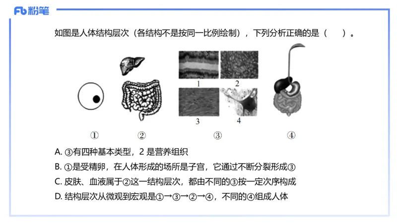 理论精讲12-动物学与动物生理学-拾光_4-教培资料-26年最新资料-同步更新_初中高中教资_03科三专项（进去保存报考的学科即可）_初中_初中生物-通关资料包_2025年FB学科-生物_讲义