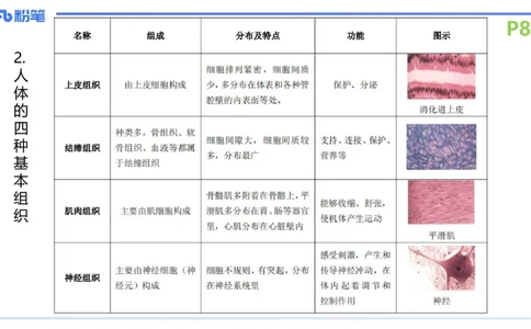 理论精讲12-动物学与动物生理学-拾光_4-教培资料-26年最新资料-同步更新_初中高中教资_03科三专项（进去保存报考的学科即可）_初中_初中生物-通关资料包_2025年FB学科-生物_讲义