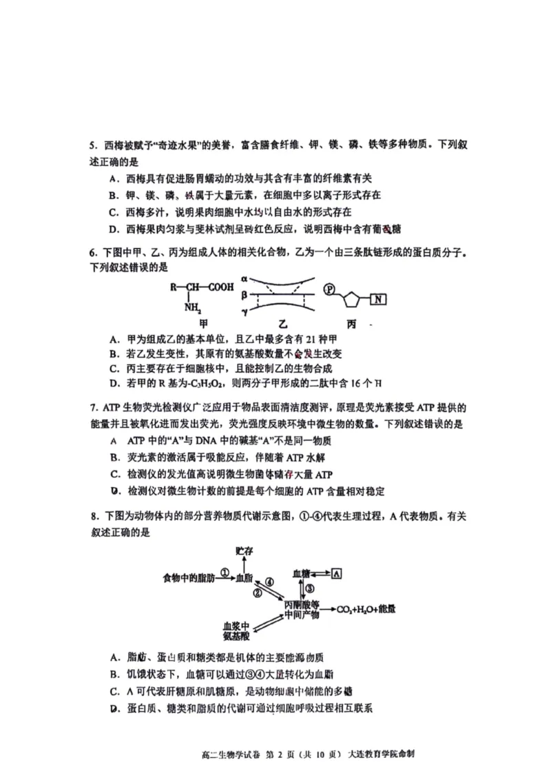 辽宁省大连市2024-2025学年高二下学期期末考试生物+答案_2025年7月_250721辽宁省大连市2024-2025学年高二下学期期末考试（全科）