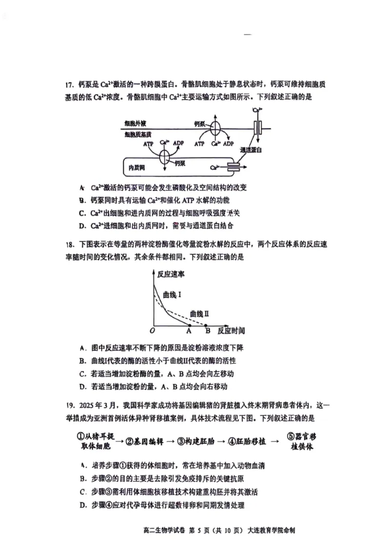 辽宁省大连市2024-2025学年高二下学期期末考试生物+答案_2025年7月_250721辽宁省大连市2024-2025学年高二下学期期末考试（全科）