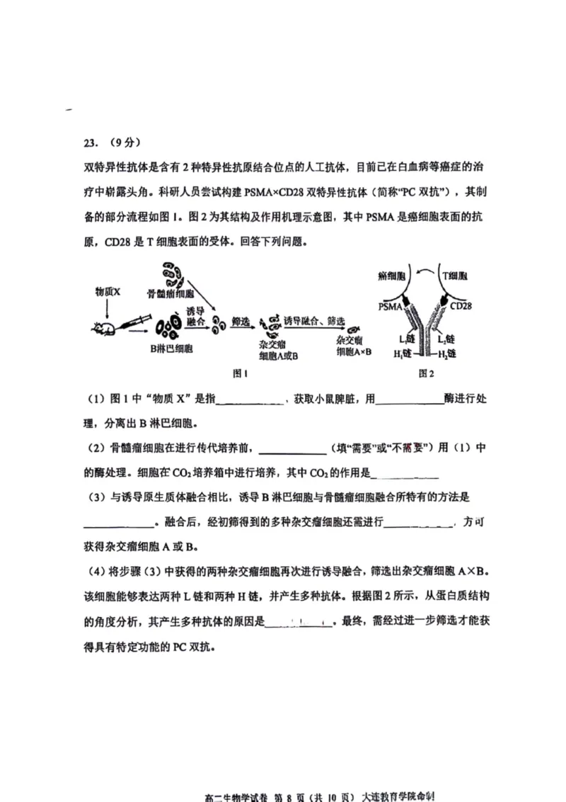 辽宁省大连市2024-2025学年高二下学期期末考试生物+答案_2025年7月_250721辽宁省大连市2024-2025学年高二下学期期末考试（全科）