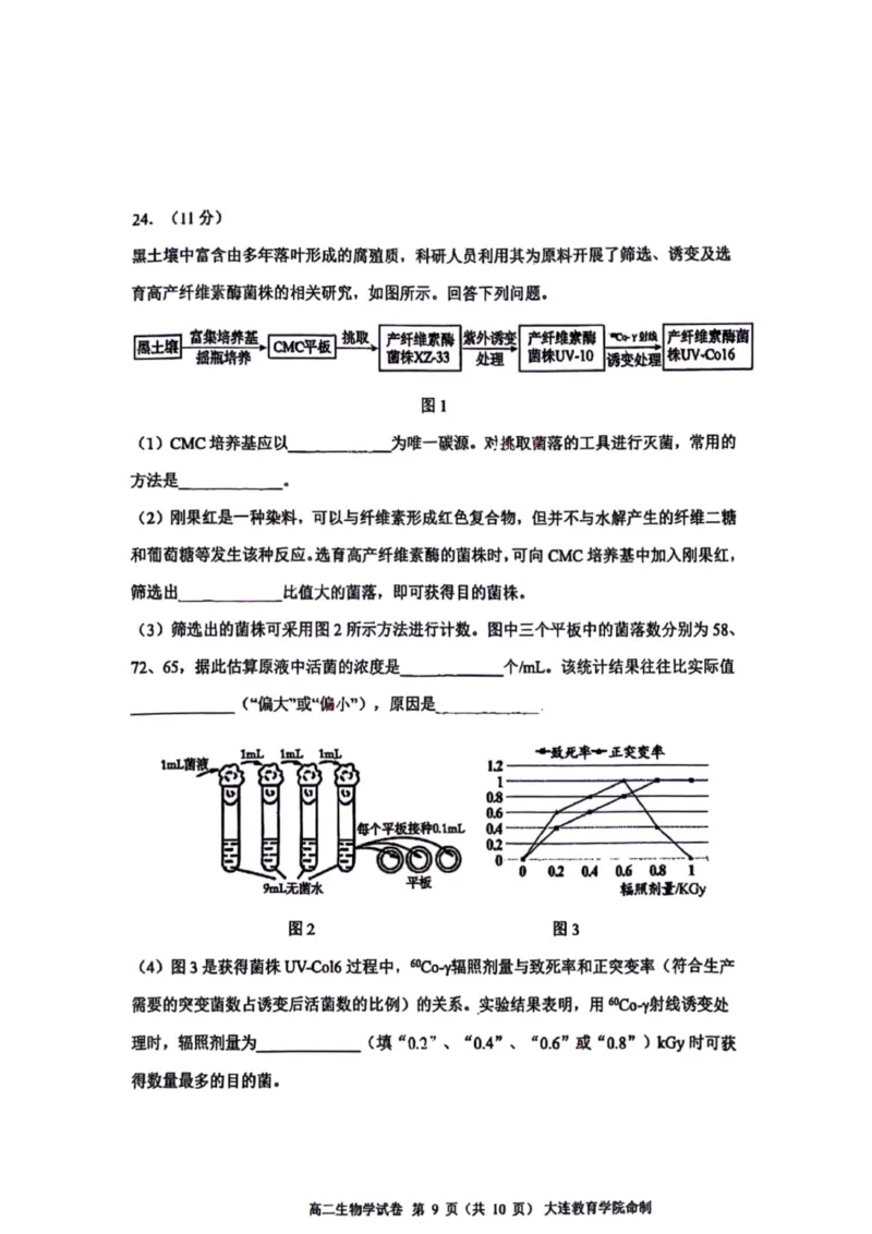 辽宁省大连市2024-2025学年高二下学期期末考试生物+答案_2025年7月_250721辽宁省大连市2024-2025学年高二下学期期末考试（全科）