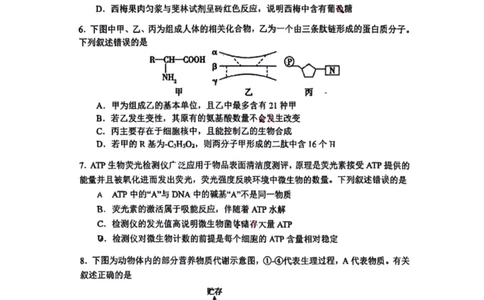 辽宁省大连市2024-2025学年高二下学期期末考试生物+答案_2025年7月_250721辽宁省大连市2024-2025学年高二下学期期末考试（全科）
