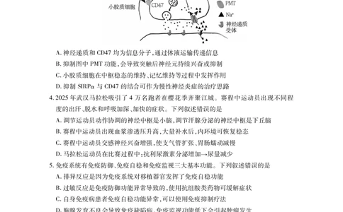 黄石高二生物学_2025年7月_250715湖北省黄石市2025春季学期高二期末统一测试（全科）_生物