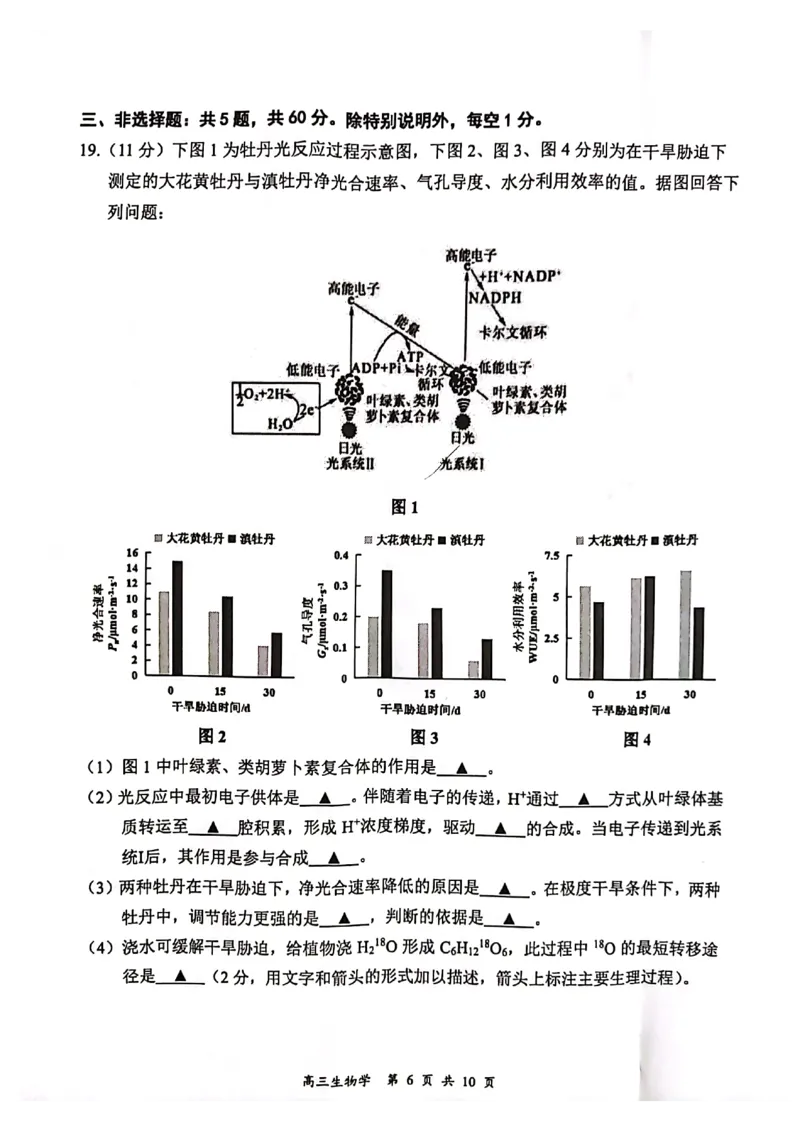 江苏省连云港市2023-2024学年高三第一次调研考试生物试题_2024届江苏省淮安市、连云港市高三上学期第一次调研考试（一模）