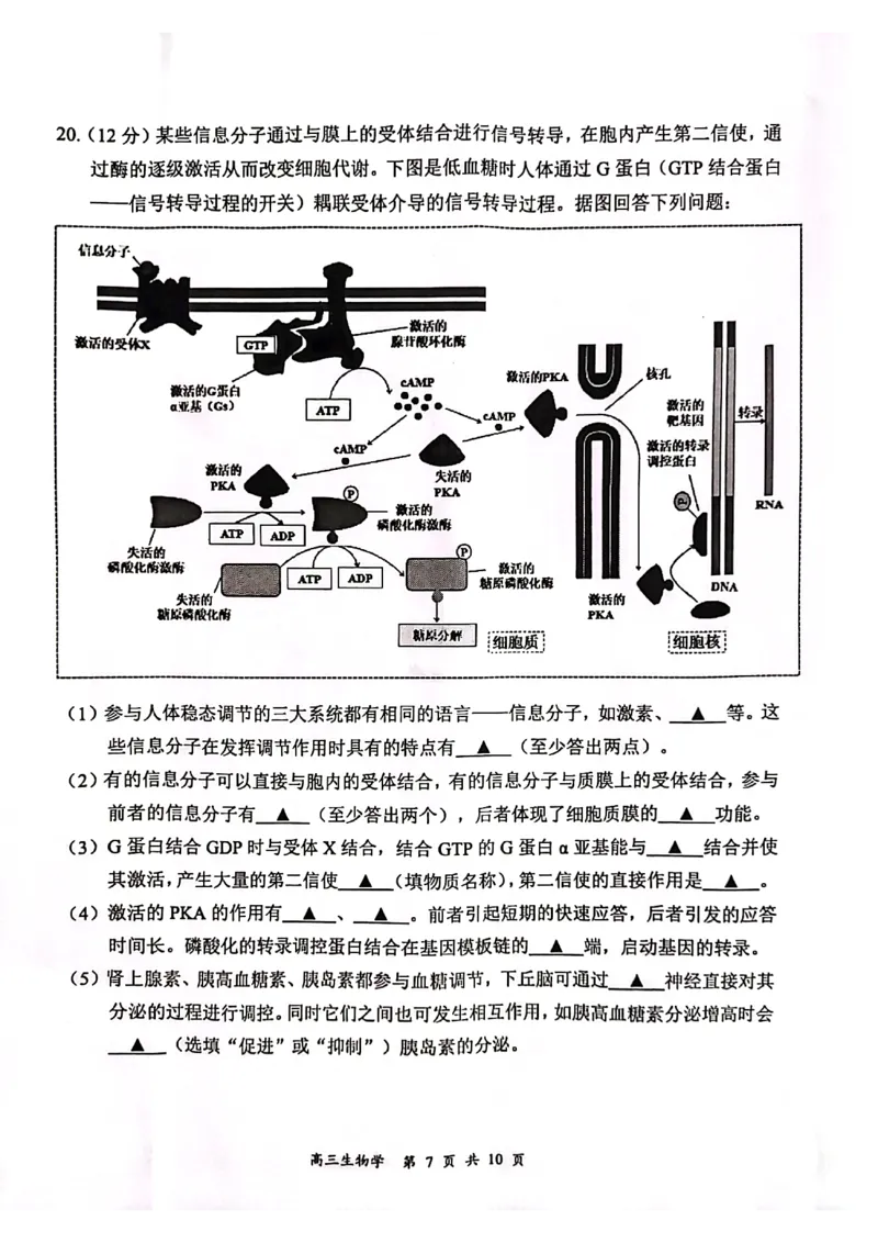 江苏省连云港市2023-2024学年高三第一次调研考试生物试题_2024届江苏省淮安市、连云港市高三上学期第一次调研考试（一模）