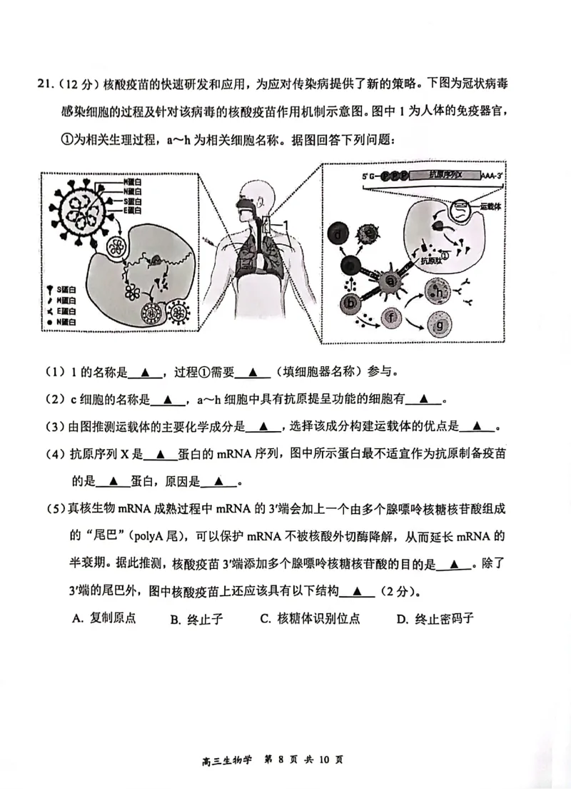 江苏省连云港市2023-2024学年高三第一次调研考试生物试题_2024届江苏省淮安市、连云港市高三上学期第一次调研考试（一模）