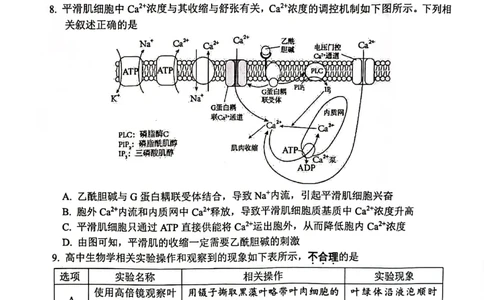 江苏省连云港市2023-2024学年高三第一次调研考试生物试题_2024届江苏省淮安市、连云港市高三上学期第一次调研考试（一模）