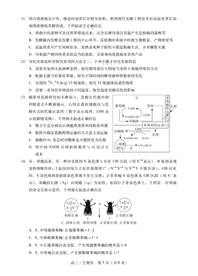 广东省揭阳市汕尾市2024届高三上学期1月期末考试生物_2024届广东省揭阳市汕尾市高三上学期1月期末考试