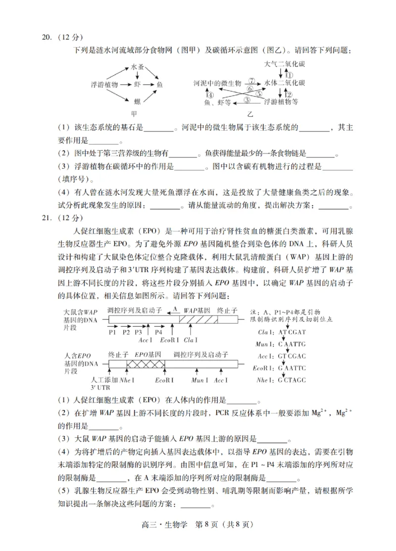 广东省揭阳市汕尾市2024届高三上学期1月期末考试生物_2024届广东省揭阳市汕尾市高三上学期1月期末考试