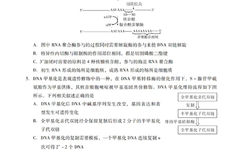 广东省揭阳市汕尾市2024届高三上学期1月期末考试生物_2024届广东省揭阳市汕尾市高三上学期1月期末考试