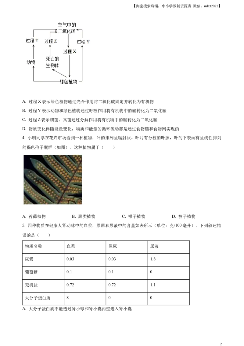 精品解析：2023年山东省泰安市中考生物真题（原卷版）(1)_中考真题_8.生物中考真题2015-2024年_2023年全国中考生物7.20_精品解析：2023年山东省泰安市中考生物真题