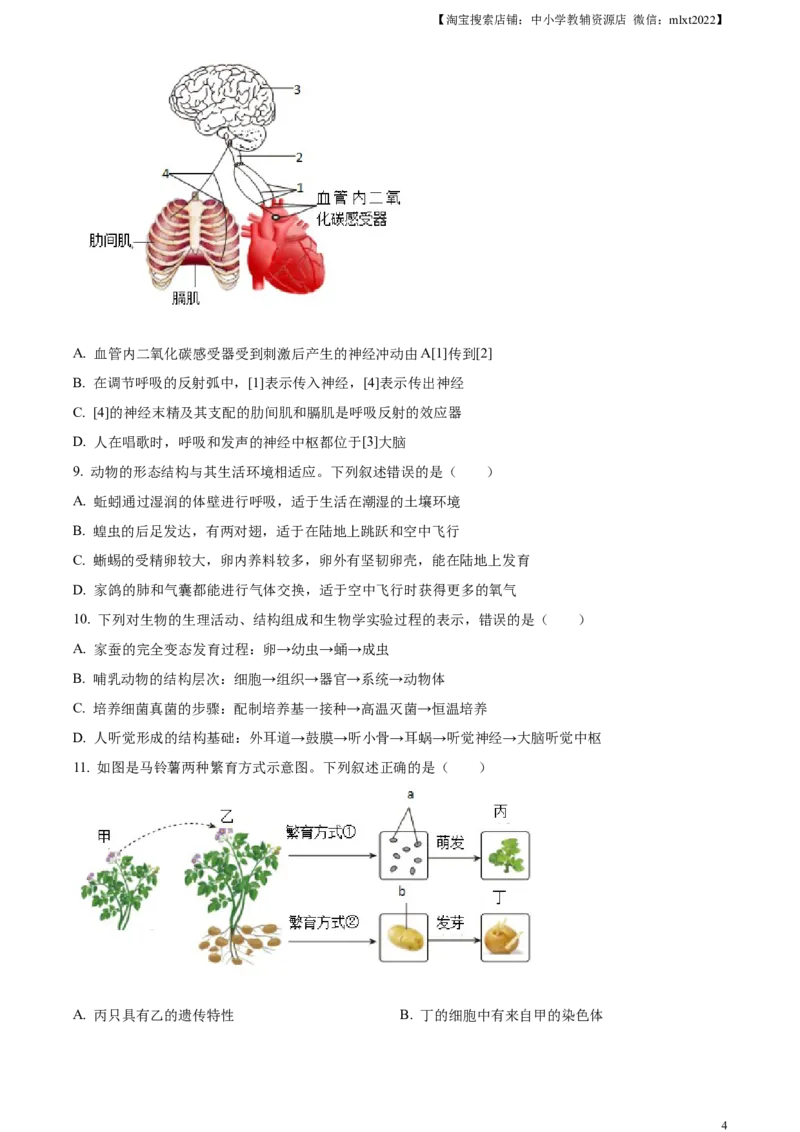精品解析：2023年山东省泰安市中考生物真题（原卷版）(1)_中考真题_8.生物中考真题2015-2024年_2023年全国中考生物7.20_精品解析：2023年山东省泰安市中考生物真题