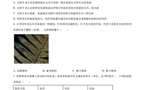精品解析：2023年山东省泰安市中考生物真题（原卷版）(1)_中考真题_8.生物中考真题2015-2024年_2023年全国中考生物7.20_精品解析：2023年山东省泰安市中考生物真题