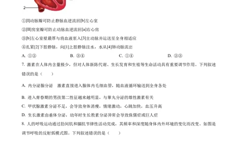 精品解析：2023年山东省泰安市中考生物真题（原卷版）(1)_中考真题_8.生物中考真题2015-2024年_2023年全国中考生物7.20_精品解析：2023年山东省泰安市中考生物真题
