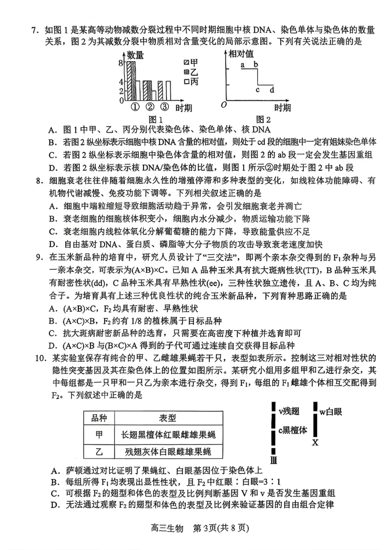 河南南阳市2025年秋期高中三年级期中质量评估_2025年11月_251116河南省南阳市2025-2026学年高三上学期期中质量评估（全科）