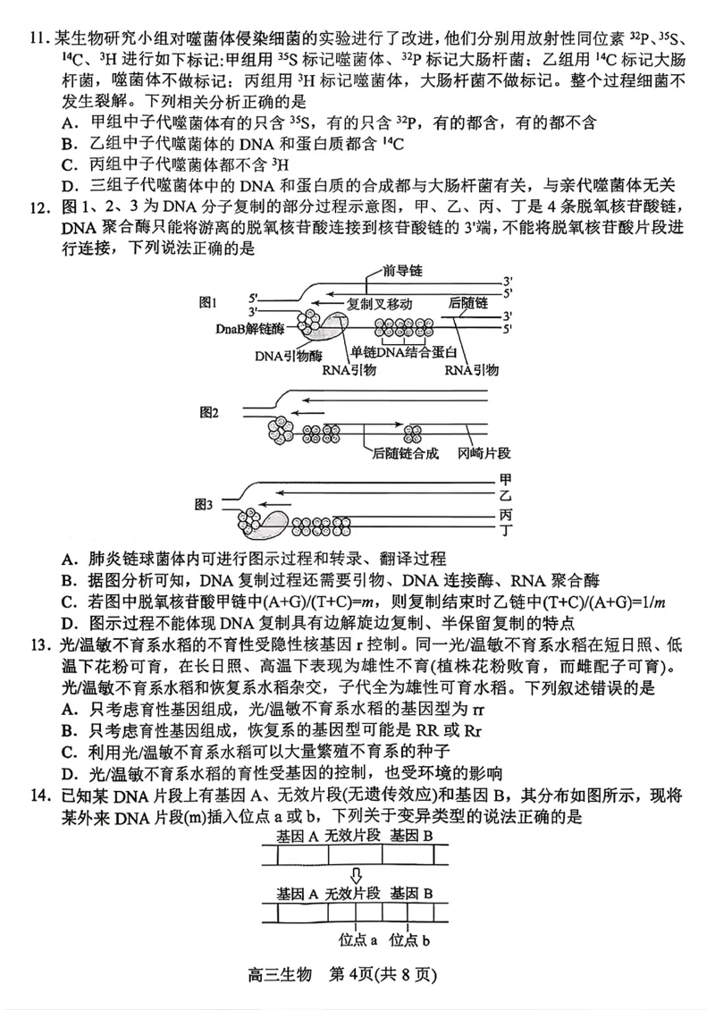 河南南阳市2025年秋期高中三年级期中质量评估_2025年11月_251116河南省南阳市2025-2026学年高三上学期期中质量评估（全科）