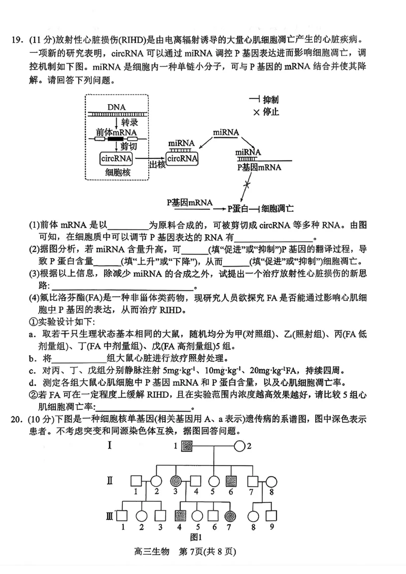 河南南阳市2025年秋期高中三年级期中质量评估_2025年11月_251116河南省南阳市2025-2026学年高三上学期期中质量评估（全科）