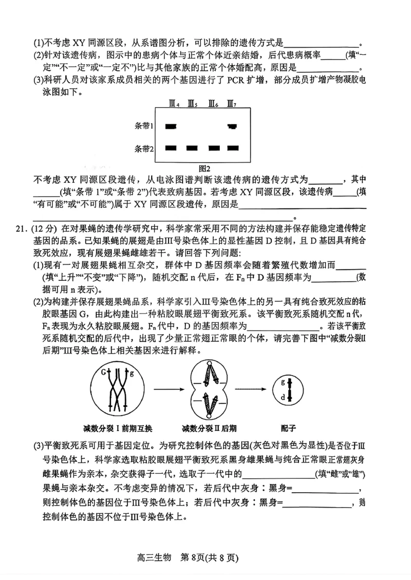 河南南阳市2025年秋期高中三年级期中质量评估_2025年11月_251116河南省南阳市2025-2026学年高三上学期期中质量评估（全科）