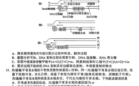 河南南阳市2025年秋期高中三年级期中质量评估_2025年11月_251116河南省南阳市2025-2026学年高三上学期期中质量评估（全科）
