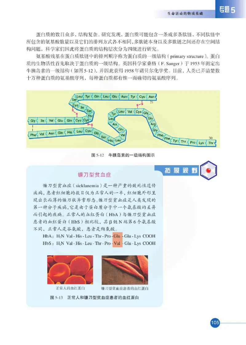 苏教版高中化学选修5有机化学基础电子课本_4-教培资料-26年最新资料-同步更新_初中高中教资_03科三专项（进去保存报考的学科即可）_112025高中科目（全）电子教材
