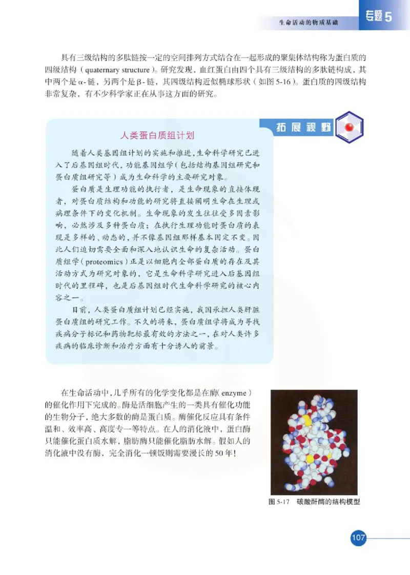 苏教版高中化学选修5有机化学基础电子课本_4-教培资料-26年最新资料-同步更新_初中高中教资_03科三专项（进去保存报考的学科即可）_112025高中科目（全）电子教材