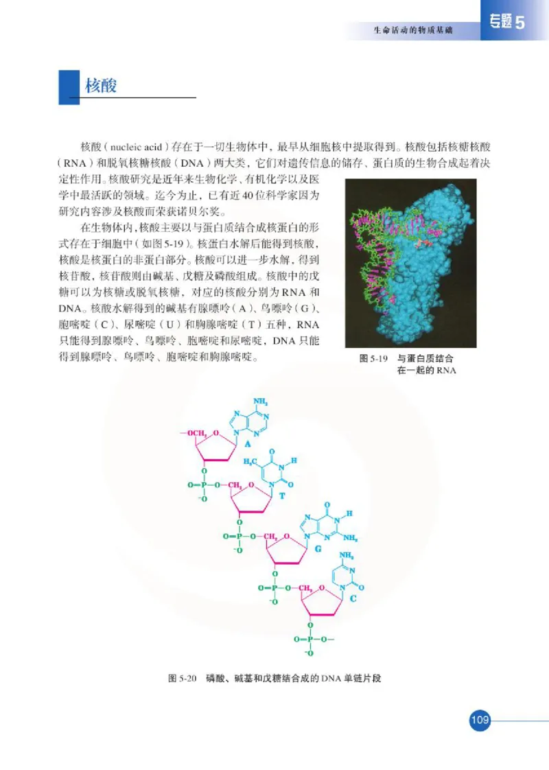 苏教版高中化学选修5有机化学基础电子课本_4-教培资料-26年最新资料-同步更新_初中高中教资_03科三专项（进去保存报考的学科即可）_112025高中科目（全）电子教材
