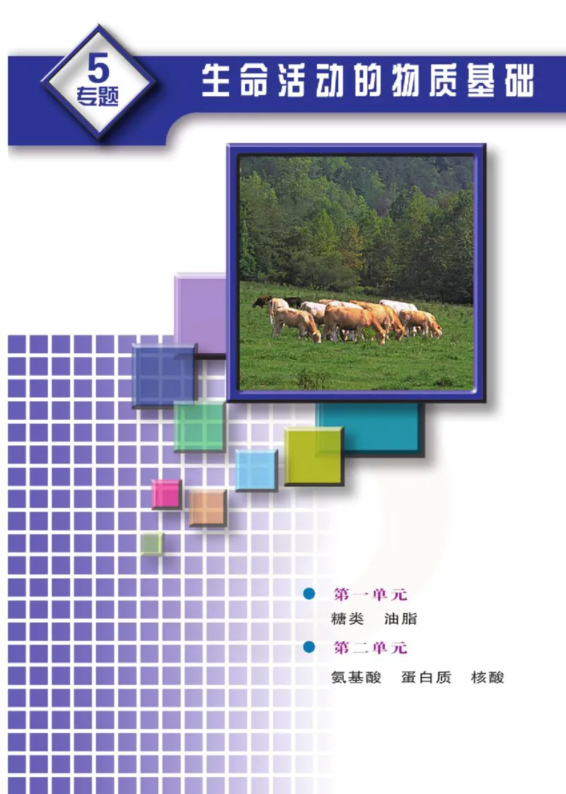 苏教版高中化学选修5有机化学基础电子课本_4-教培资料-26年最新资料-同步更新_初中高中教资_03科三专项（进去保存报考的学科即可）_112025高中科目（全）电子教材
