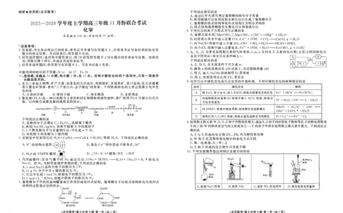 辽宁点石联考2025-2026学年高三上学期11月期中化学试题_251115辽宁点石联考2025-2026学年高三上学期11月期中试题