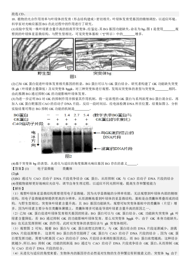 北京生物-答案_1.高考2025全国各省真题+答案_00.2025各省市高考真题及答案（按省份分类）_1、北京卷（9科全）_9.生物