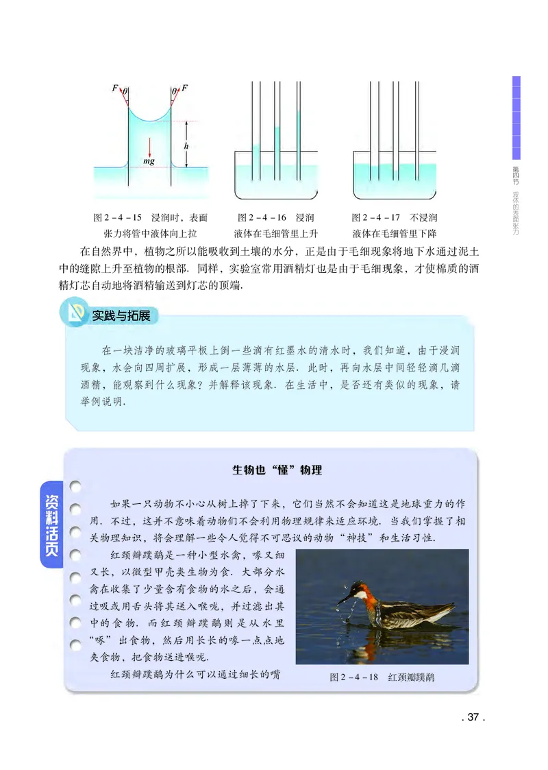 粤教版物理选修第三册高清教材_4-教培资料-26年最新资料-同步更新_初中高中教资_03科三专项（进去保存报考的学科即可）_02科三专项（笔记真题思维导图教学设计版本二）